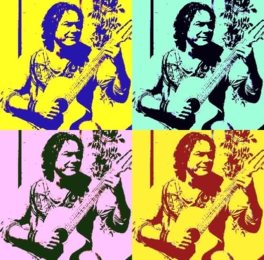 Foto bij artikel: GITARIST HERMAN SMIES LIVE