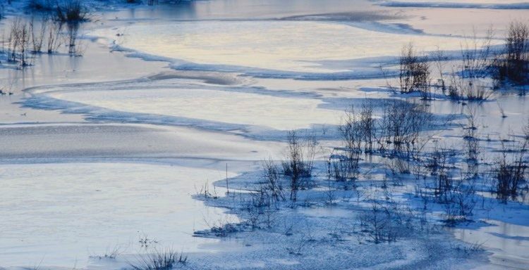 Foto bij artikel: NATUURGEBIED DE GROTE PUTTING