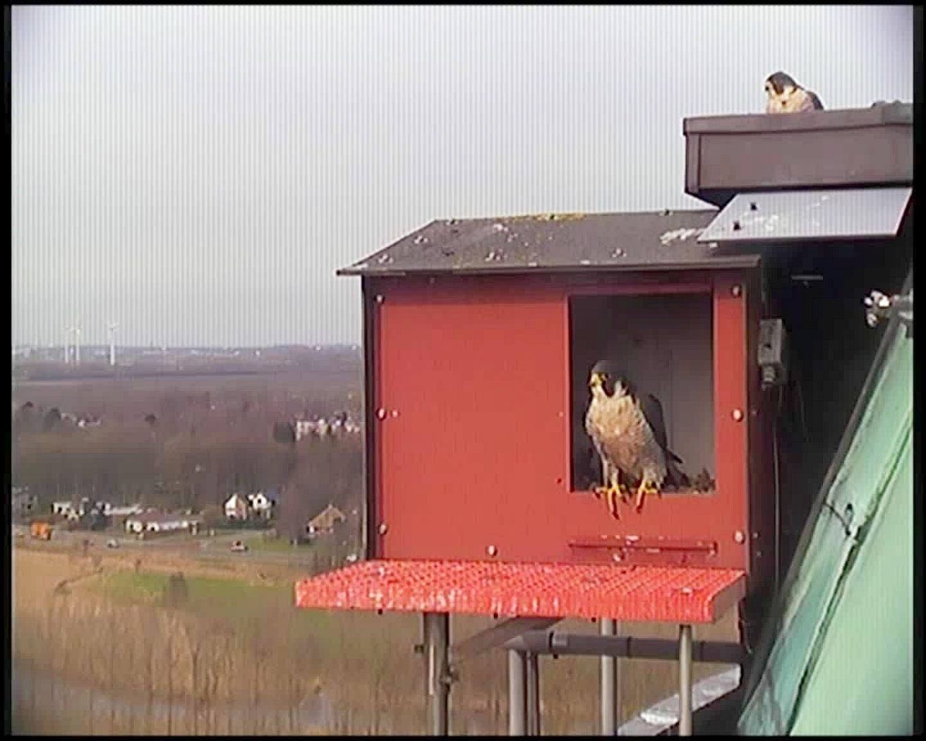 Foto bij artikel: SPANNEND ROND DE WATERTOREN