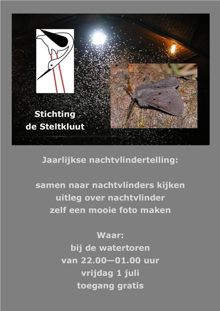 Foto bij artikel: VRIJDAGNACHT 1 JULI BIJ DE WATERTOREN