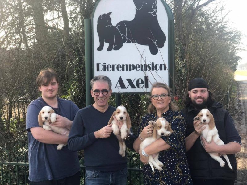 DIERENPENSION ZEELAND KARIN, STEVEN, TIM & ROBIN VAN VIERSEN