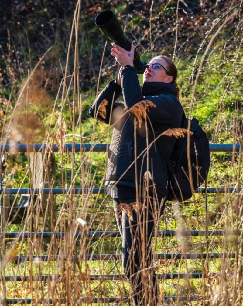 ILSE CROMBEEN – NATUURFOTOGRAFIE