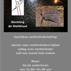 VRIJDAGNACHT 1 JULI BIJ DE WATERTOREN